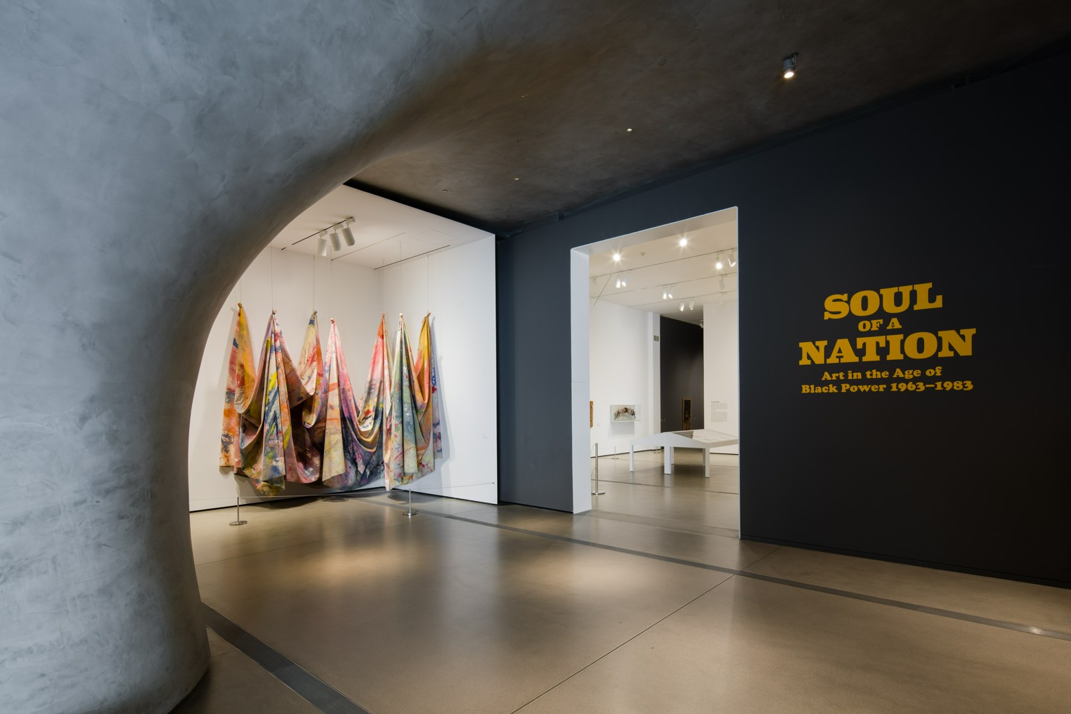 Free Soul of a Nation Gallery Talks — The Broad